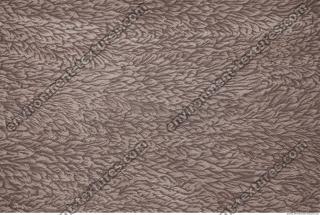 Photo Texture of Wallpaper 0003